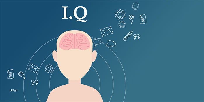 Chỉ số thông minh IQ